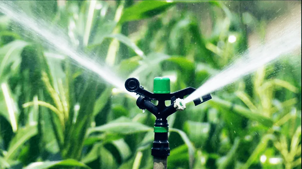 Irrigação por aspersão na lavoura
