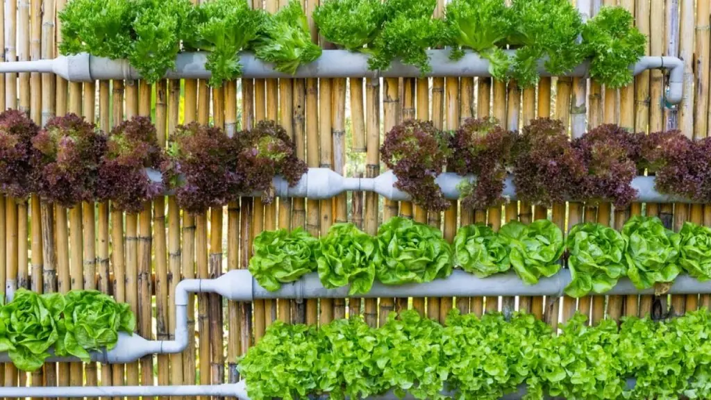 Horta vertical em casa com pouco espaço