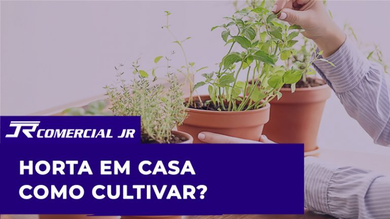 Horta em casa - Como cultivar dentro de seu apartamento