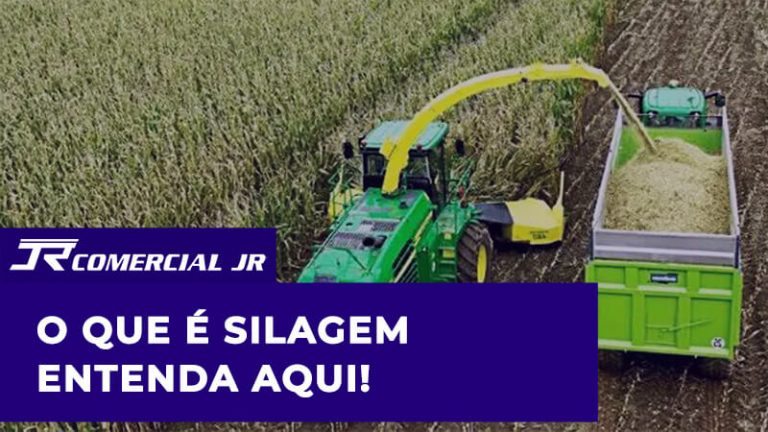 Leia mais sobre o artigo O que é Silagem? Informações aqui!
