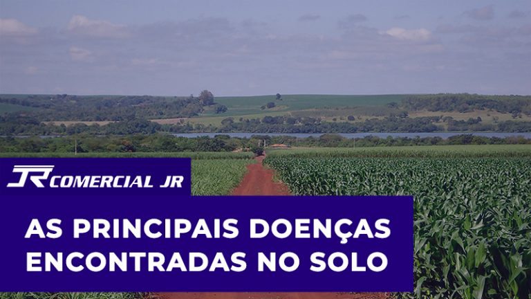 Leia mais sobre o artigo As Principais Doenças Encontradas no Solo – Confira!