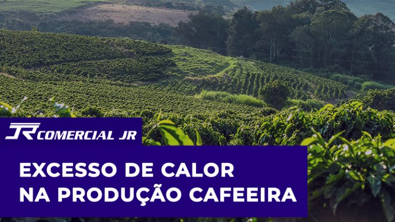 Excesso de calor na produção cafeeira: Entenda quais são as consequências!